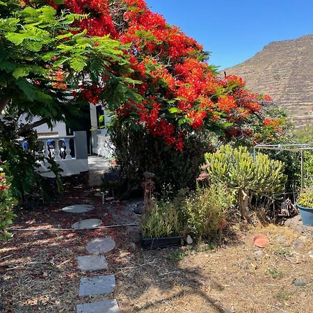 Casa Rural En Santa Cruz Los Campitos エクステリア 写真