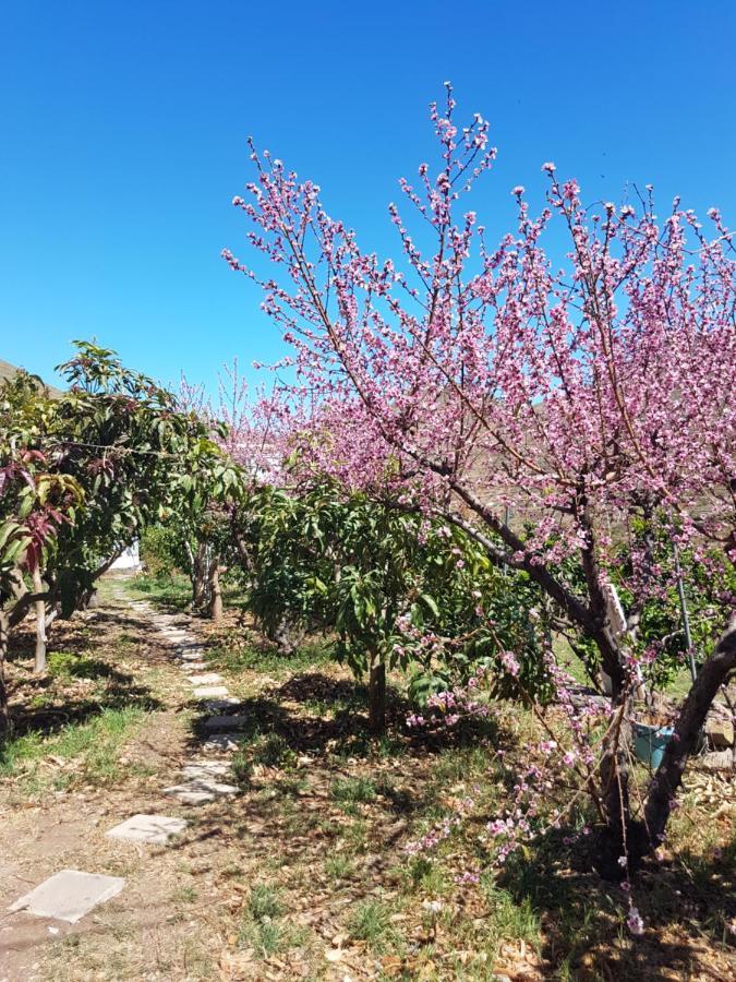 Casa Rural En Santa Cruz Los Campitos エクステリア 写真