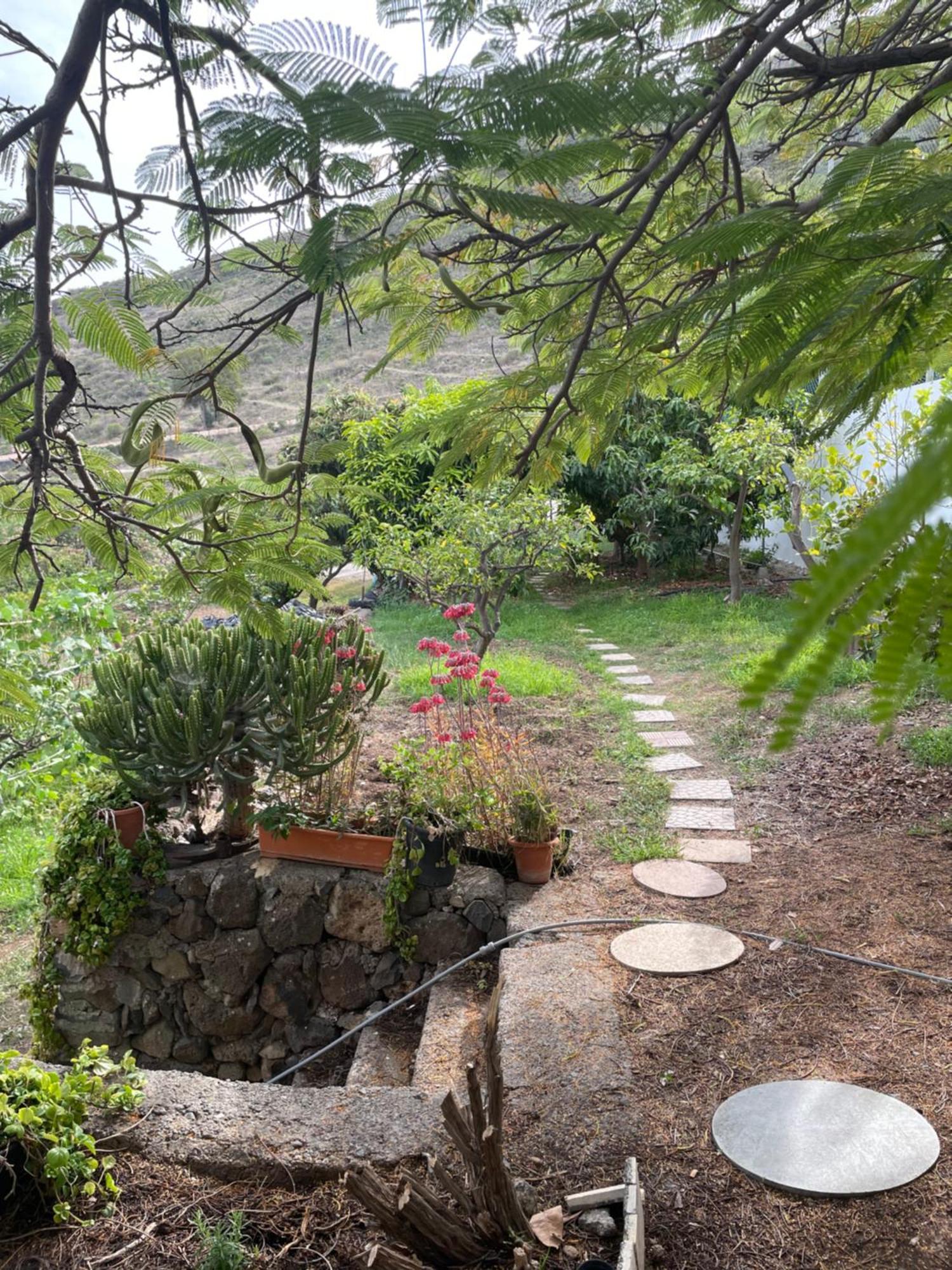 Casa Rural En Santa Cruz Los Campitos エクステリア 写真