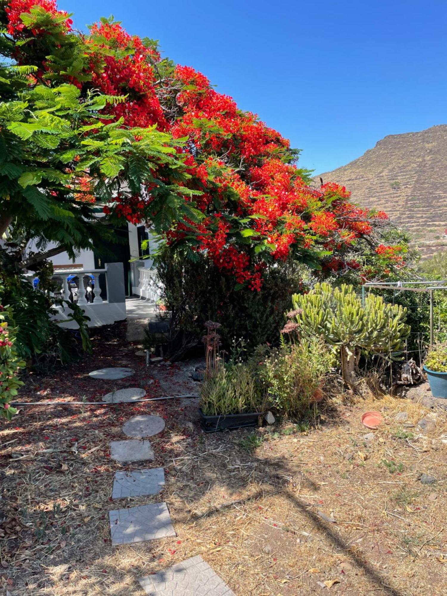 Casa Rural En Santa Cruz Los Campitos エクステリア 写真